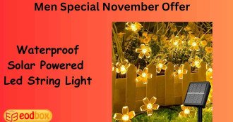 Waterproof Solar Powered Led String Light 772